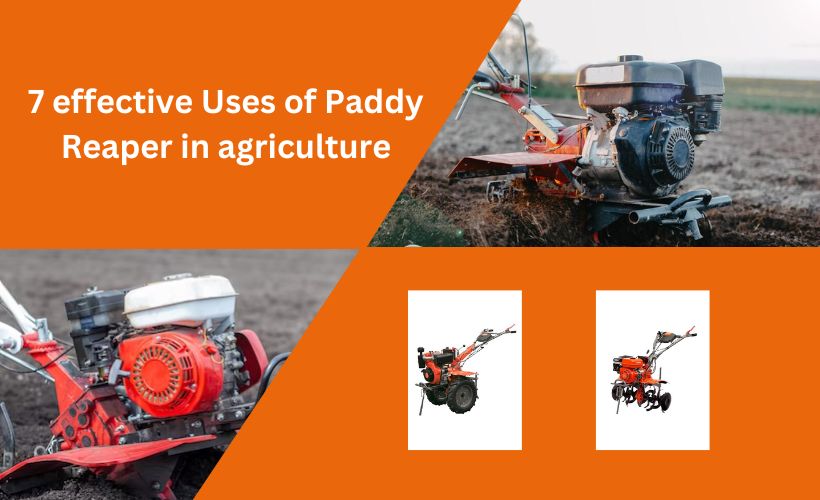 Paddy Reaper