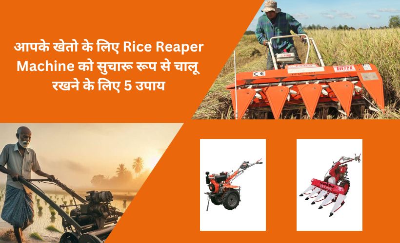 Rice Reaper Machine