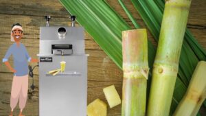 electric sugarcane juice machine