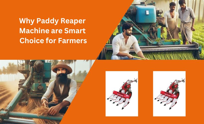 paddy reaper