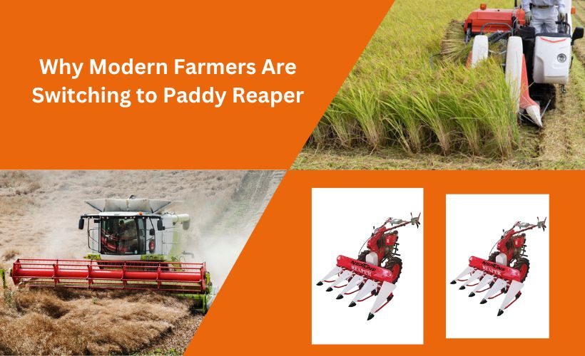 Paddy Reaper