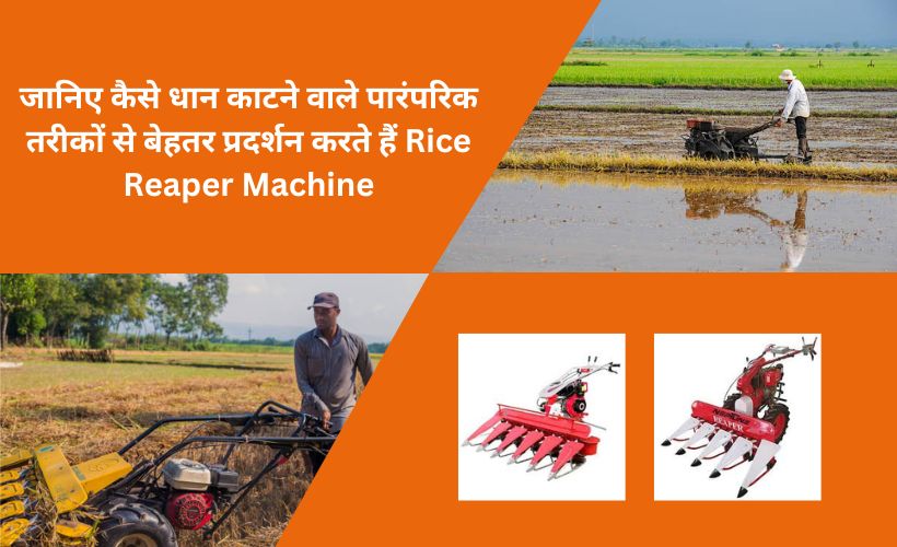 Rice Reaper Machine