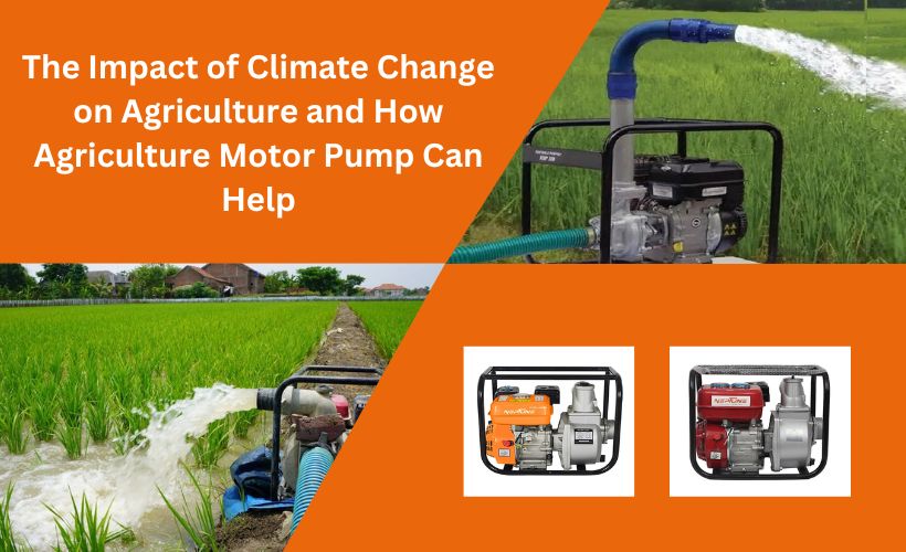 Agriculture Motor Pump