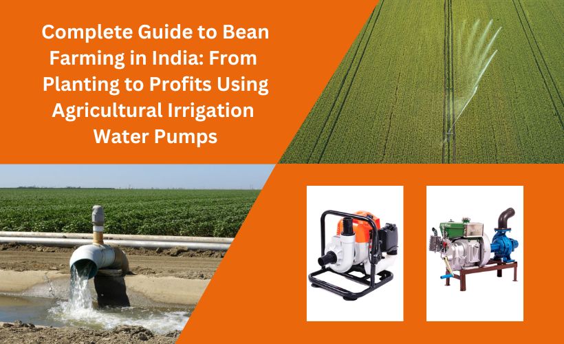 Agricultural Irrigation Water Pump