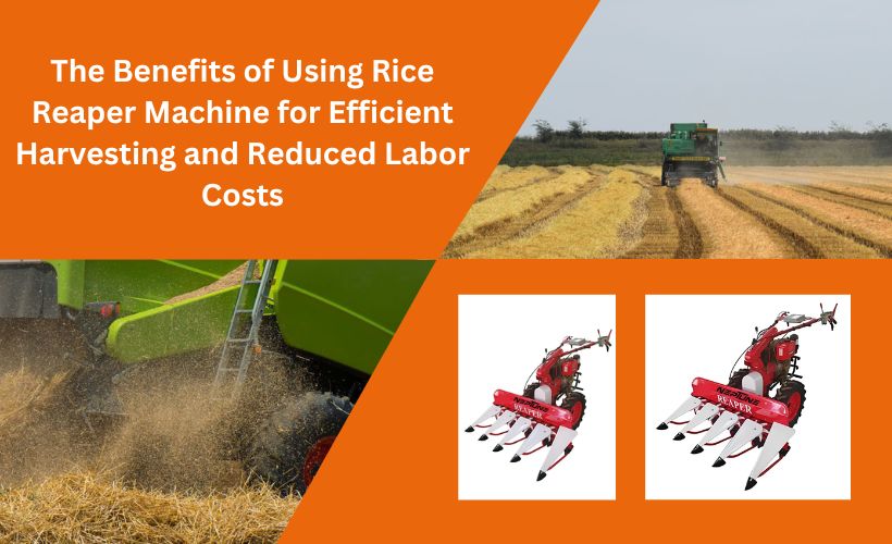 Rice Reaper Machine