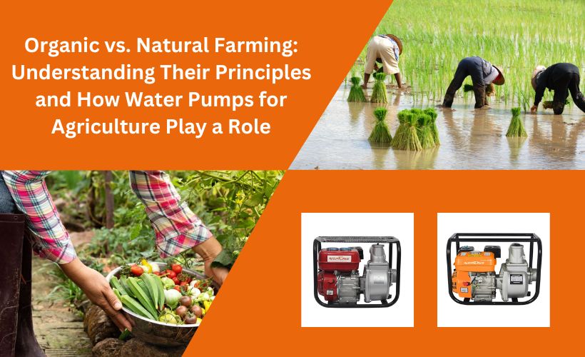 Water Pumps for Agriculture