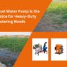 Diesel Water Pump
