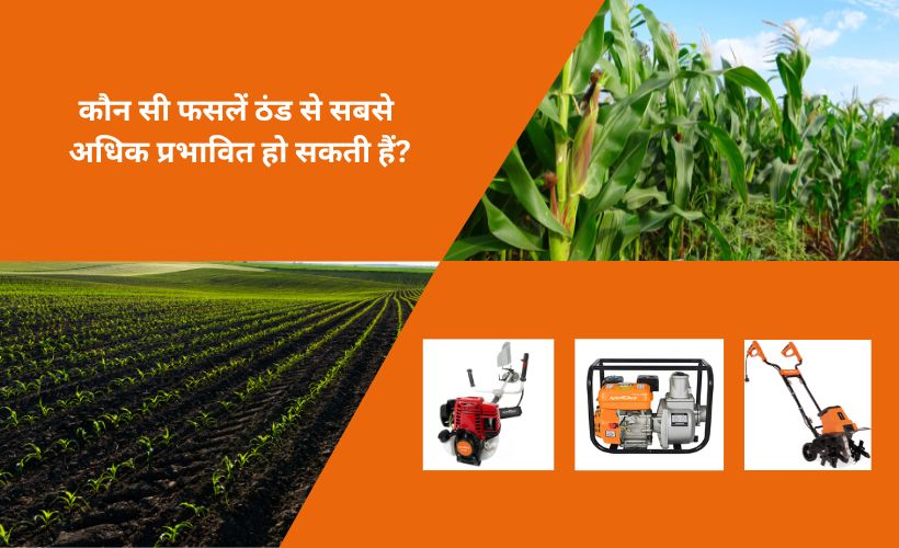 ठंड से सबसे अधिक प्रभावित