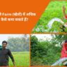 Farm