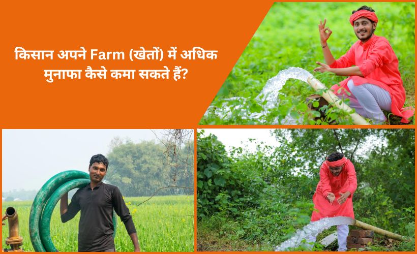 Farm