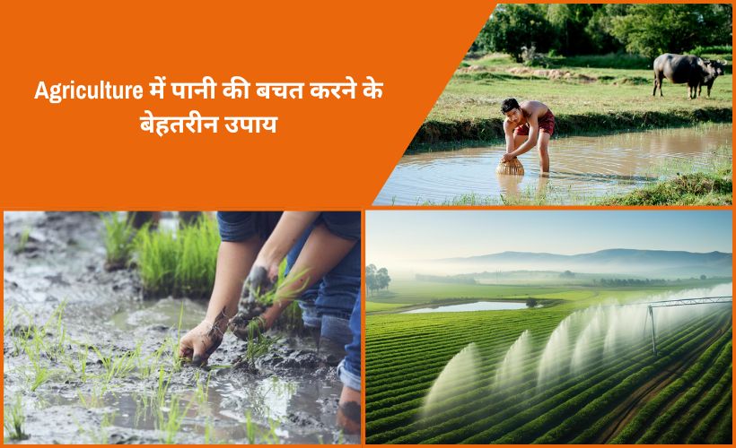 Agriculture