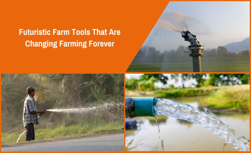Farm