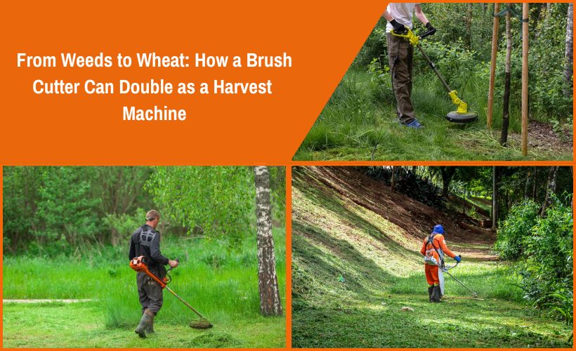 Brush Cutter