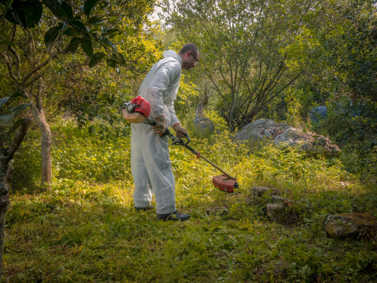 From Weeds to Wheat: How a Brush Cutter Can Double as a Harvest Machine