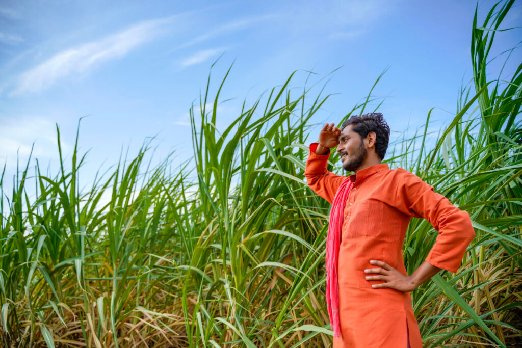 electric sugarcane juice machine