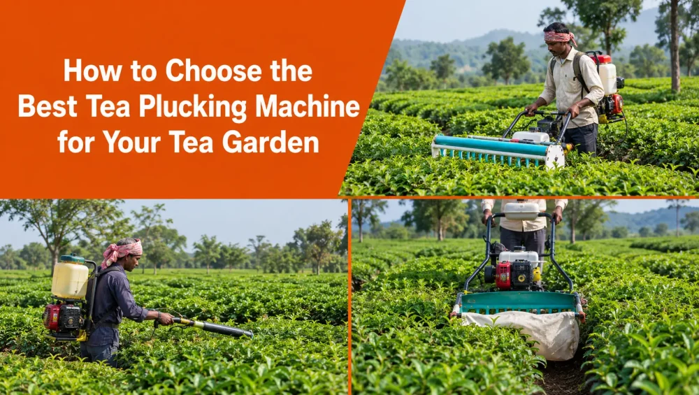 Tea Plucking Machine