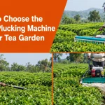 Tea Plucking Machine